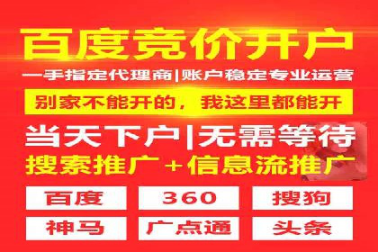 案例解析：SEM竞价策略优化技巧